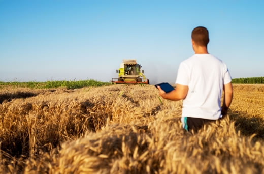 Curso Técnico em Agronegócio